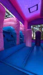 IMG 0974 1773188355 Butterfly Combo